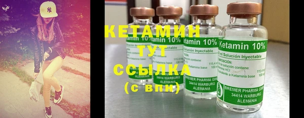 шишки Карпинск