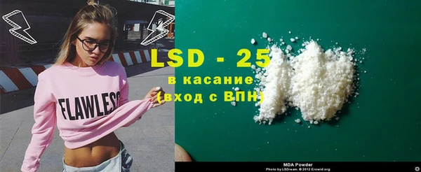 шишки Карпинск