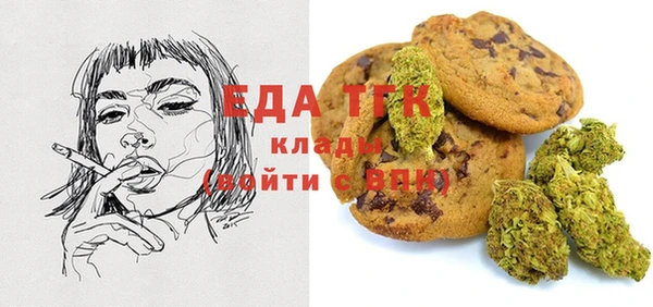 шишки Карпинск