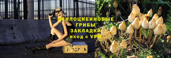 PSILOCYBIN Каменск-Шахтинский