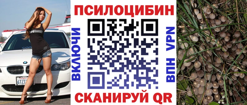 Купить где  Тобольск  Псилоцибиновые грибы MAGIC MUSHROOMS 